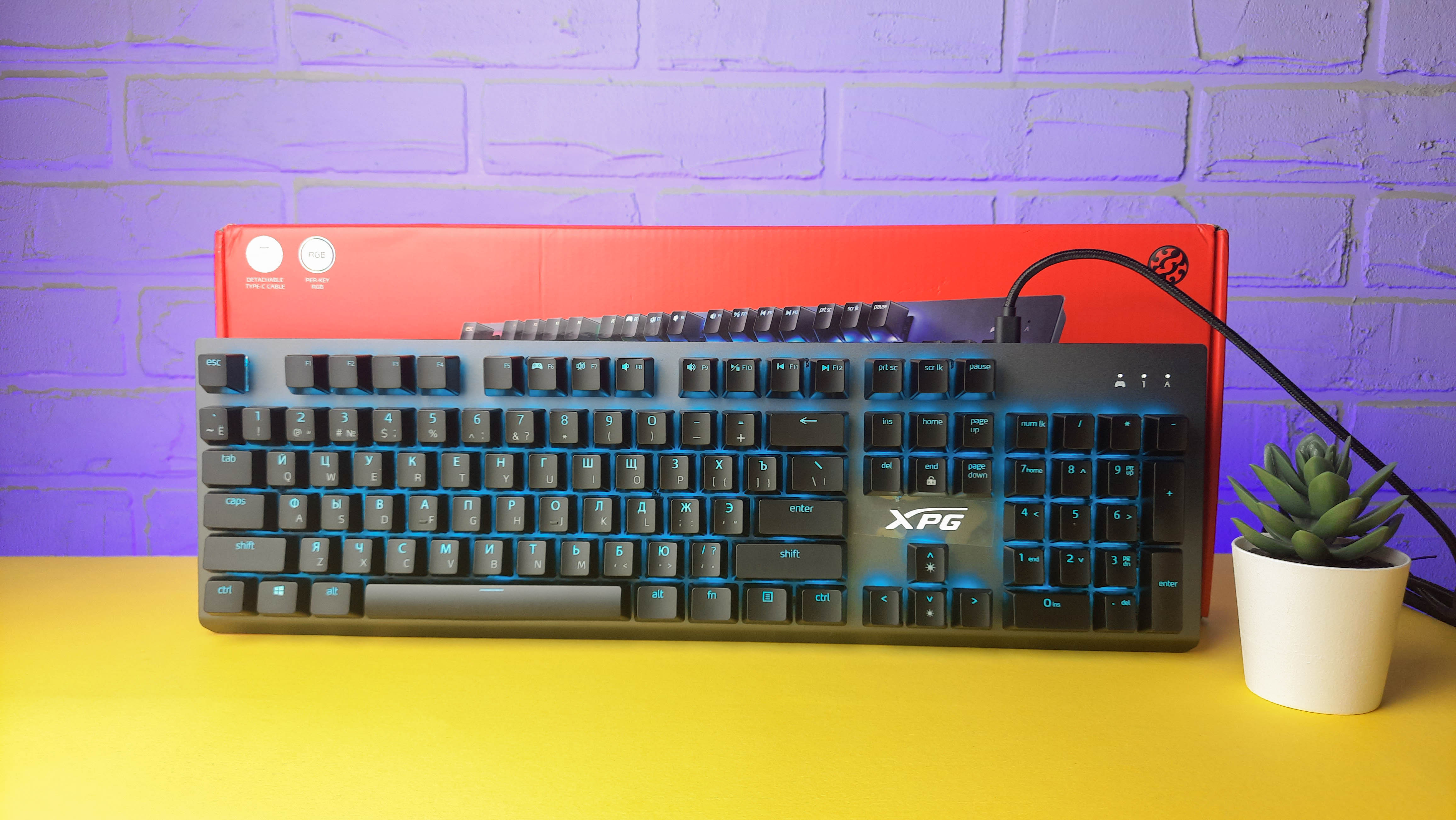 Обзор XPG Mage: игровая механическая клавиатура с RGB-подсветкой и съёмным кабелем - изображение 13 Обзор XPG Mage: игровая механическая клавиатура с RGB-подсветкой и съёмным кабелем - фото 13