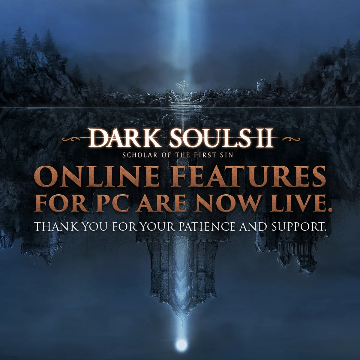 Dark Souls 2: почему появляется белый экран и как решить проблему вылетов