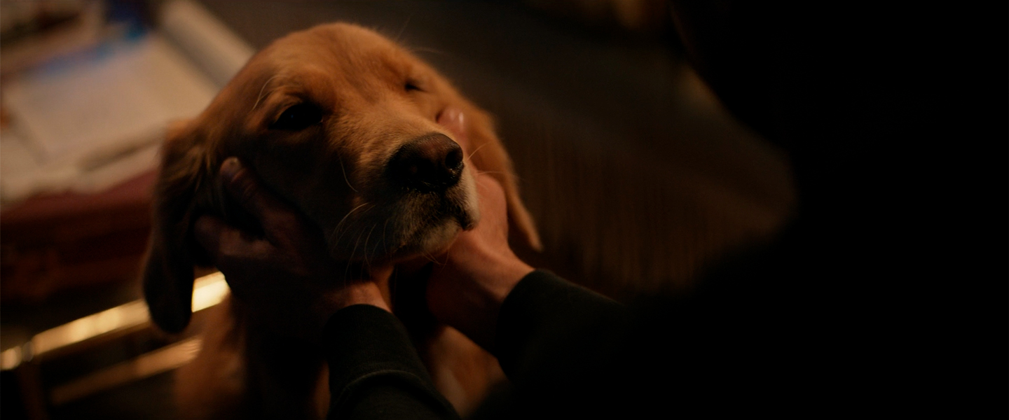 Фото: скриншот «Канобу»/Disney