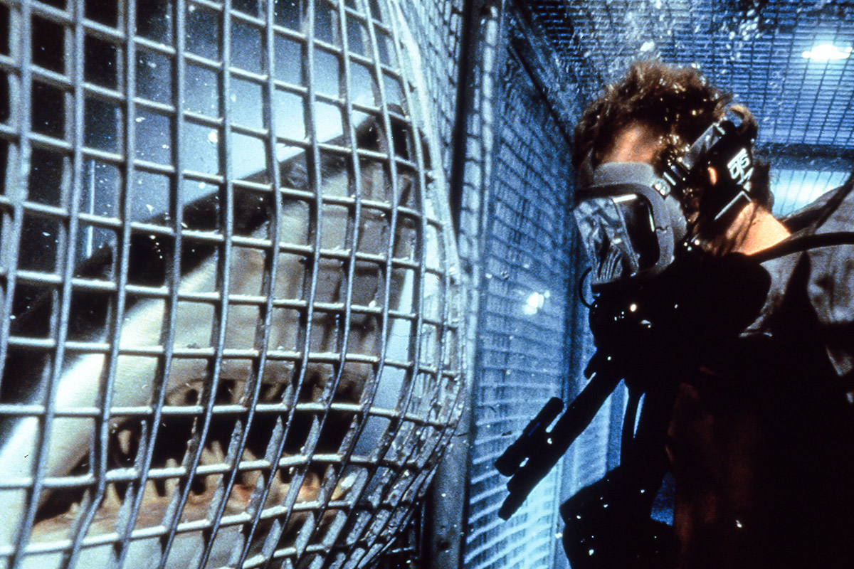 Дункан Кеннеди, автор первого варианта сценария «Глубокого синего моря», вырос в Австралии; сильнейшим потрясением детства для него стало зрелище трупа, который вымыло на берег после нападения акулы

Источник: Warner Bros.