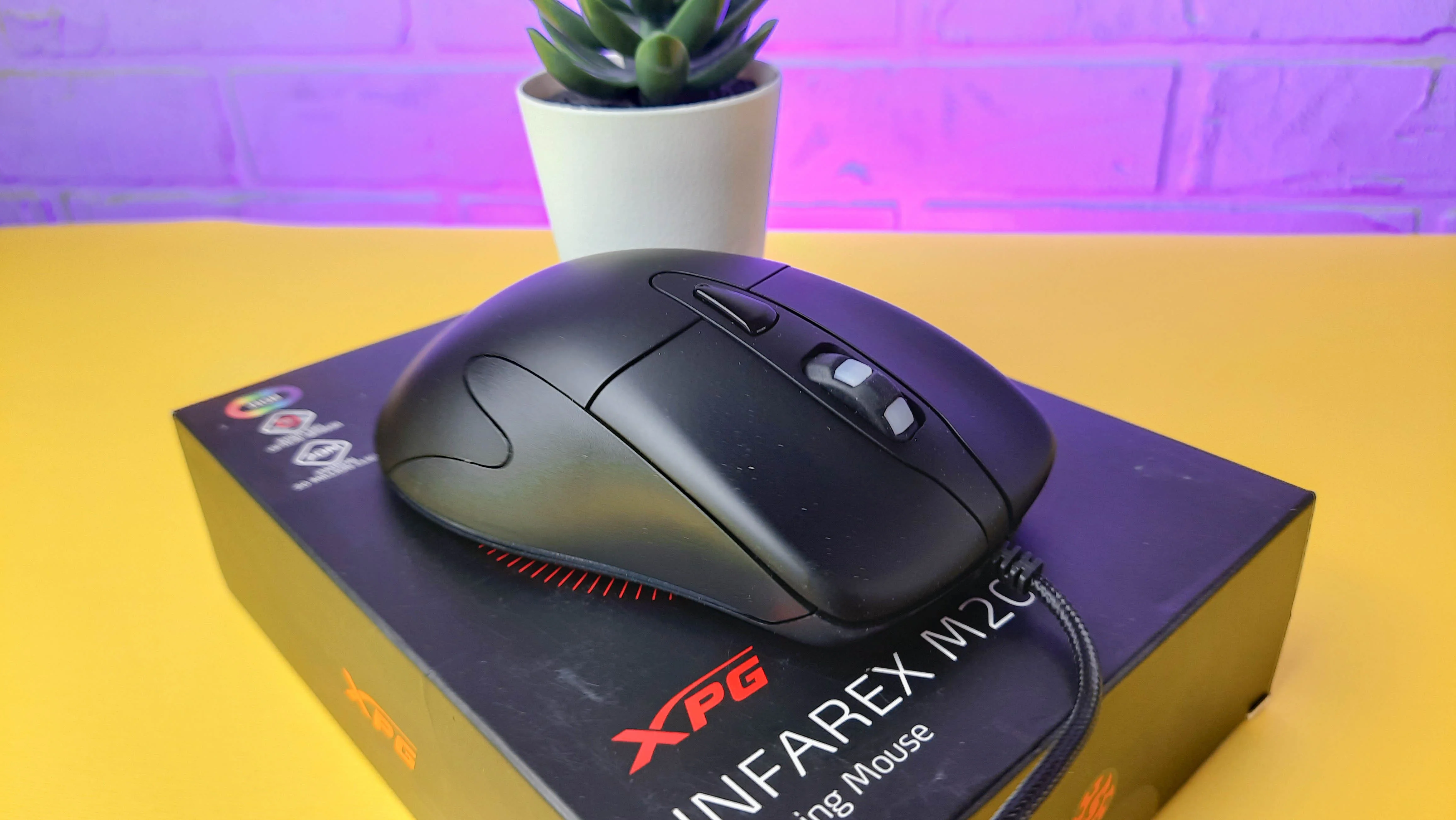 Обзор XPG Infarex M20: бюджетная игровая мышка с RGB-подсветкой - фото 3