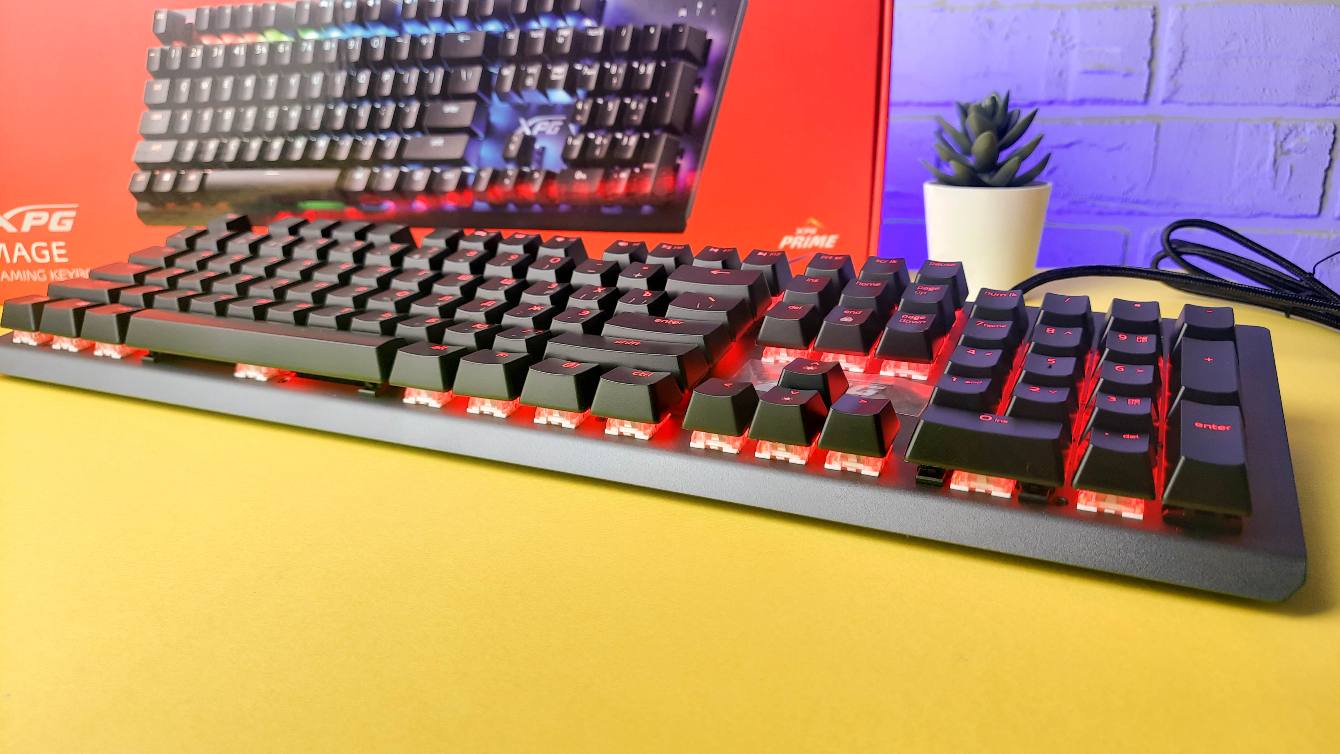 Обзор XPG Mage: игровая механическая клавиатура с RGB-подсветкой и съёмным кабелем - изображение 9 Обзор XPG Mage: игровая механическая клавиатура с RGB-подсветкой и съёмным кабелем - фото 9