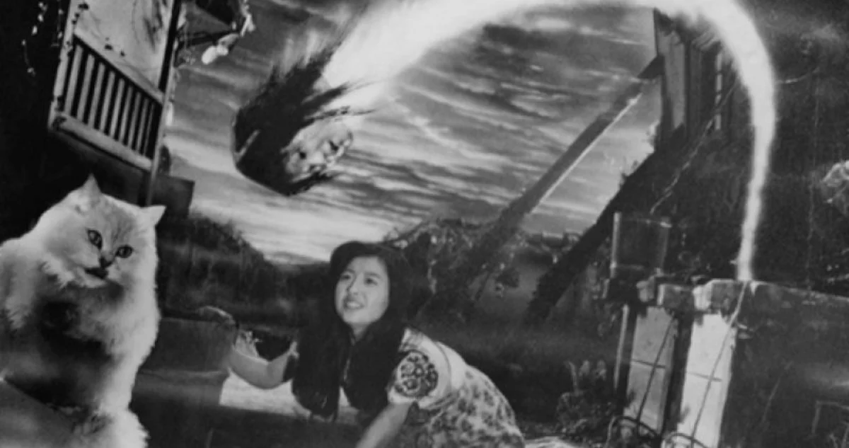 Лучшие японские фильмы ужасов — кайданы, психозы и живые дома-убийцы - фото 11