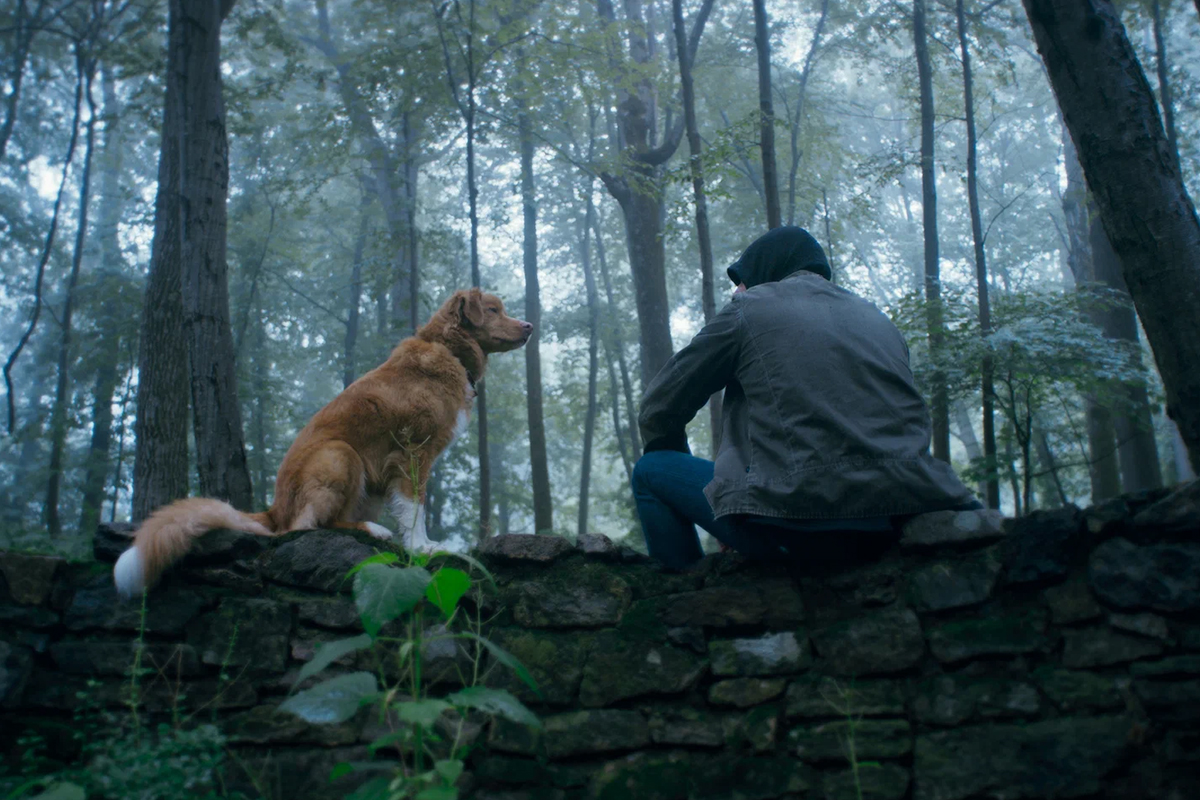 Съёмки проходили на натуре в северной части штата Нью-Йорк

Источник: Independent Film