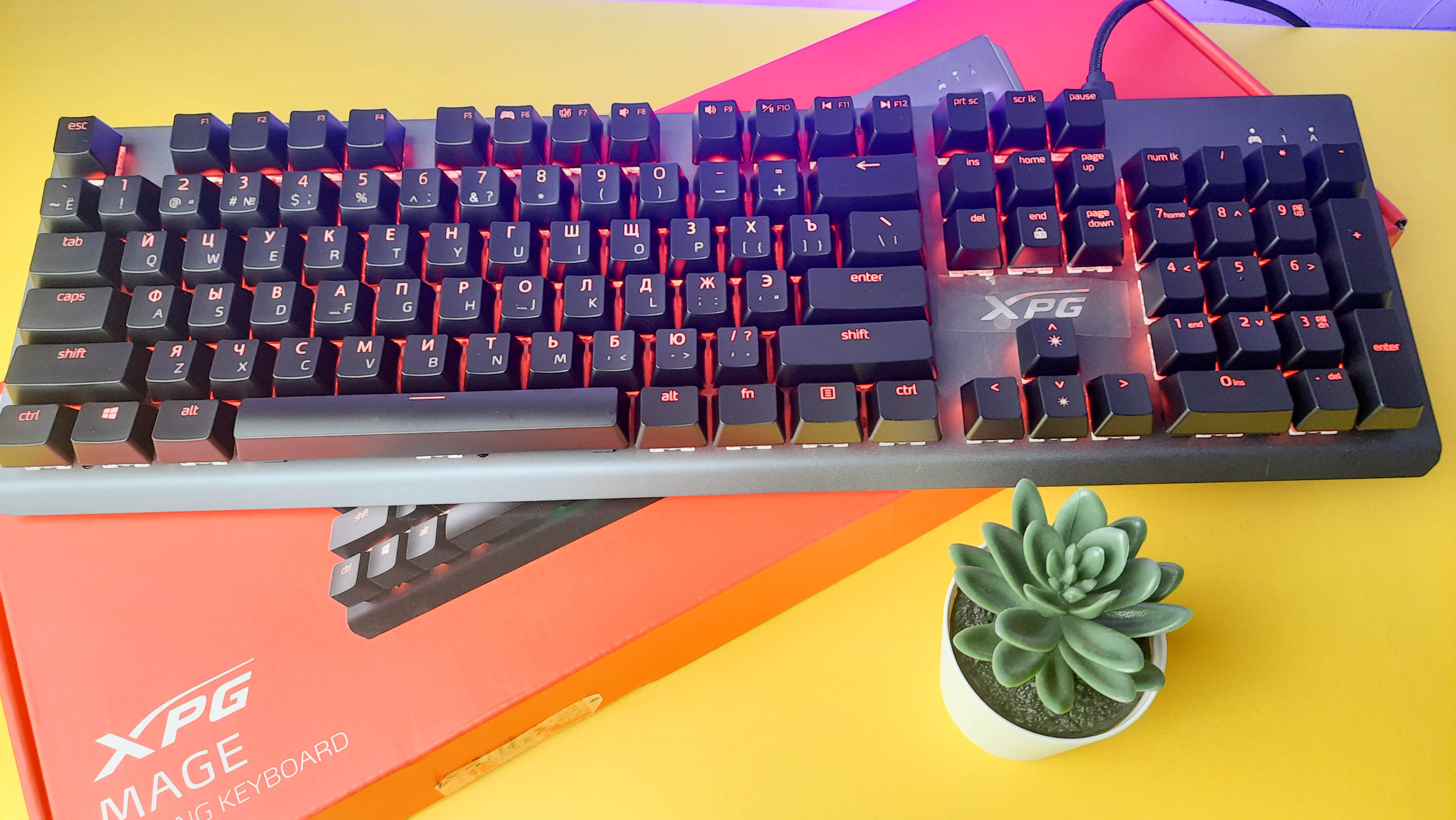 Обзор XPG Mage: игровая механическая клавиатура с RGB-подсветкой и съёмным кабелем - изображение 12 Обзор XPG Mage: игровая механическая клавиатура с RGB-подсветкой и съёмным кабелем - фото 12
