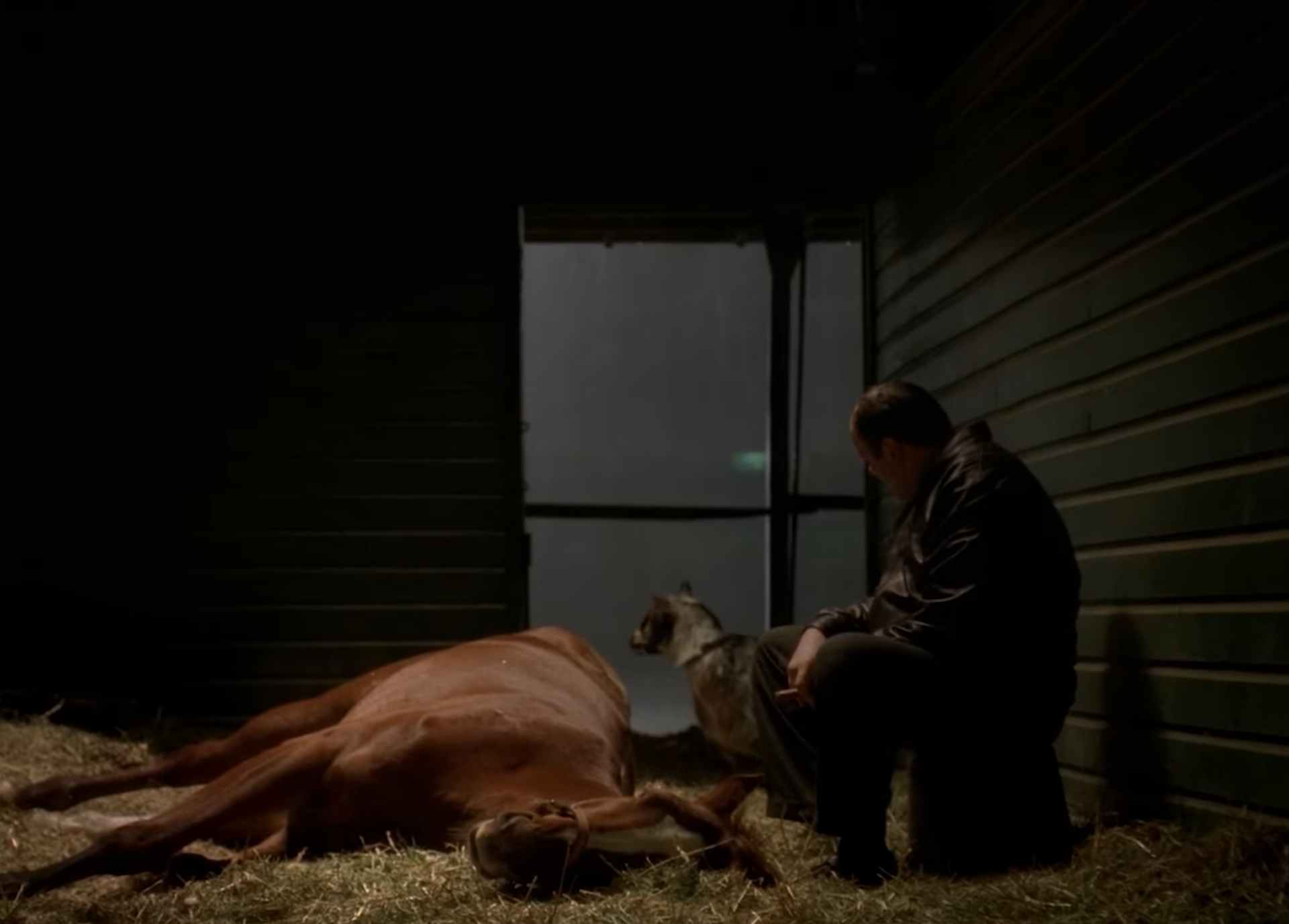 25 лет «Клану Сопрано»: Как устроено великое шоу HBO? - фото 14