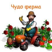 Чудо ферма