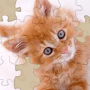 Adorable Kitten Jigsaw Puzzle