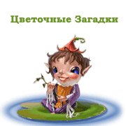 Цветочные Загадки
