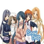 Snow Drop