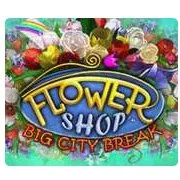 Flower Shop - Big City Break