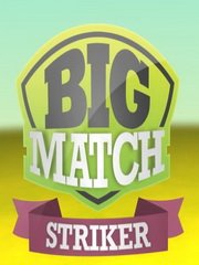 Big Match Striker