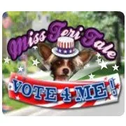 Miss Teri Tale: Vote 4 Me