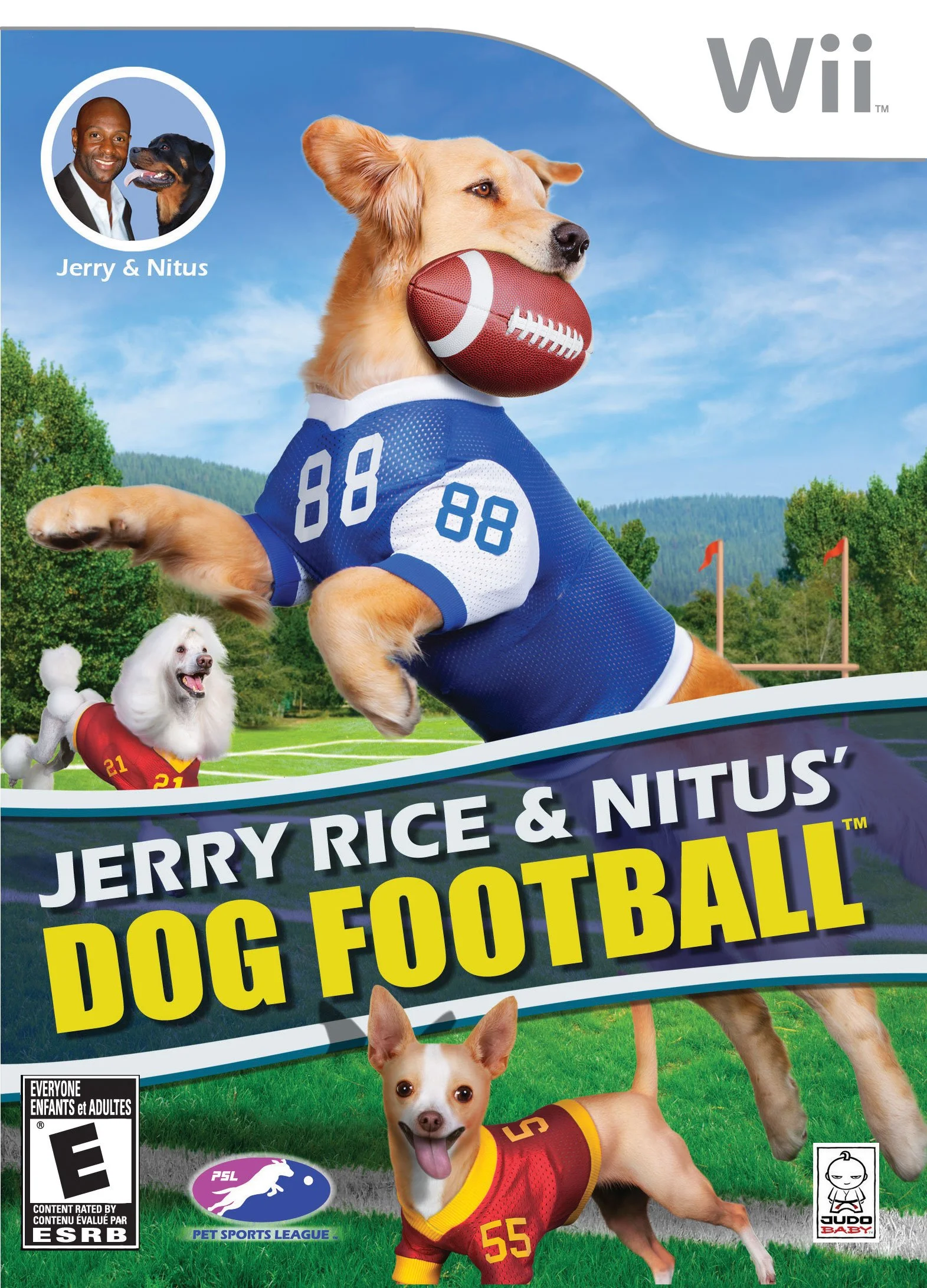 Pet sports. Dog Football Wii. Нинтендо догс игра.