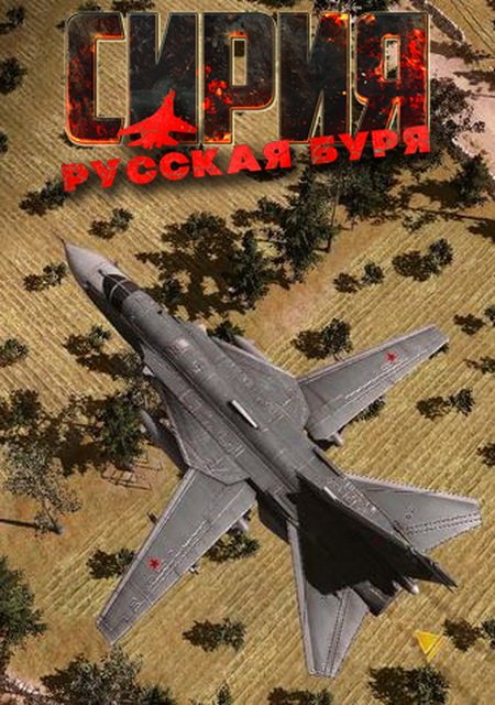Syrian Warfare