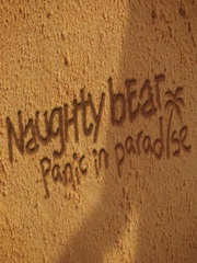 Naughty Bear: Panic in Paradise