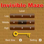 Invisible Maze