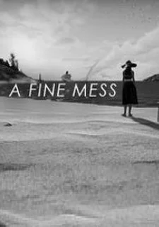 A Fine Mess