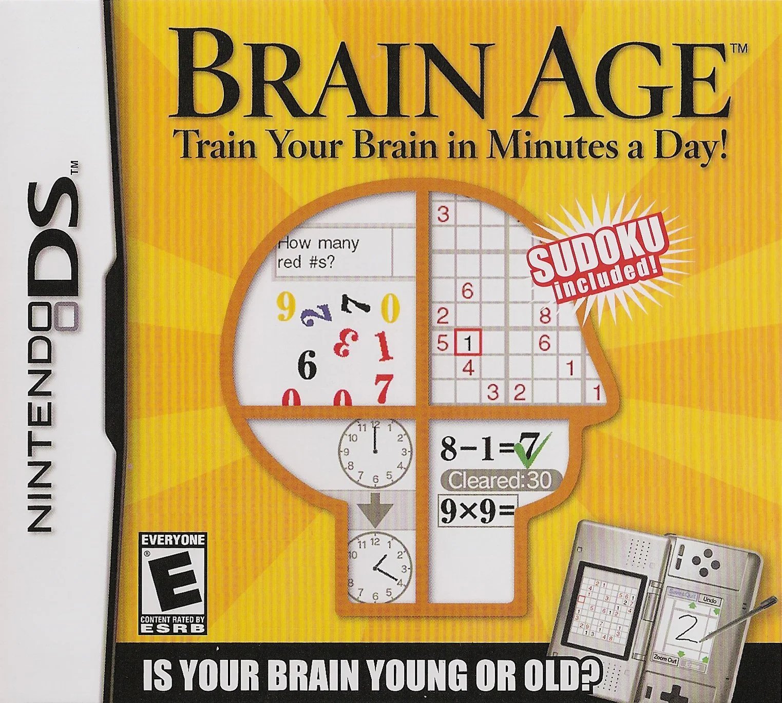 Brain Age