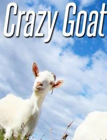 Crazy Goat