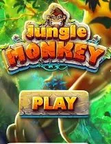 Jungle Monkey