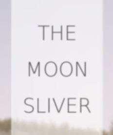 The Moon Sliver