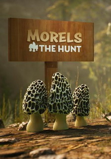 Morels: The Hunt