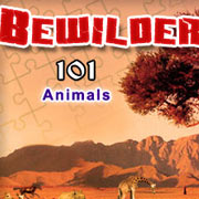 Bewilder-II