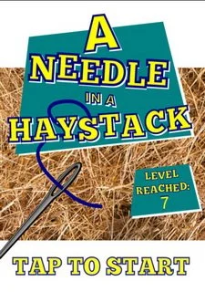 A-Needle-In-A-Haystack