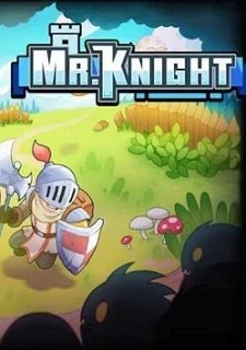 Mr.Knight