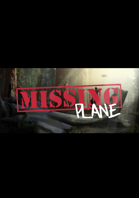 Missing Plane: Survival