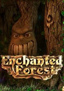 Enchanted Forest