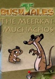 The Meerkat Muchachos