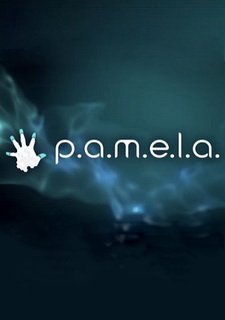P.A.M.E.L.A.