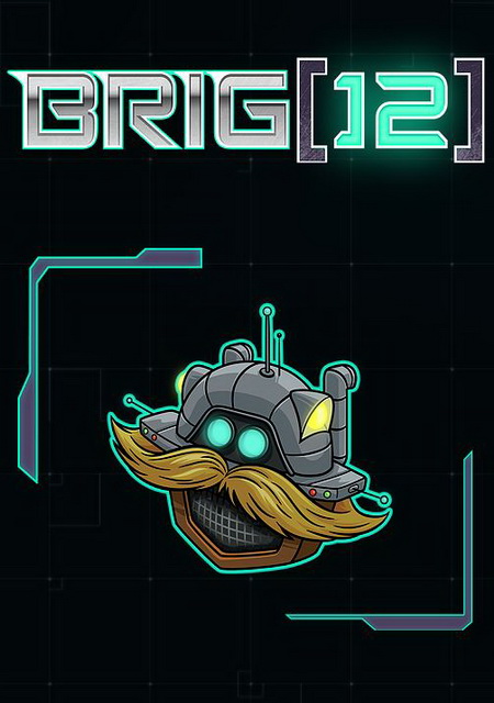 BRIG 12