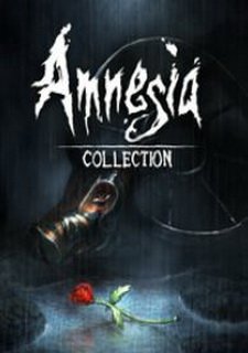 Amnesia Collection