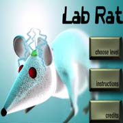 Lab Rat