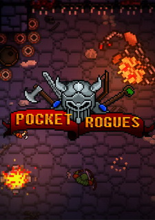 Pocket Rogues