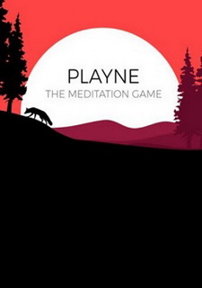 PLAYNE : The Meditation Game