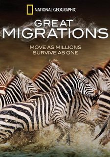 Great Migrations
