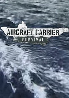 Aircraft Carrier Survival