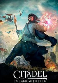 Citadel: Forged with Fire