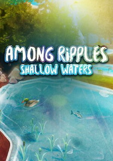 Among Ripples: Shallow Waters