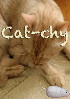 Cat-chy