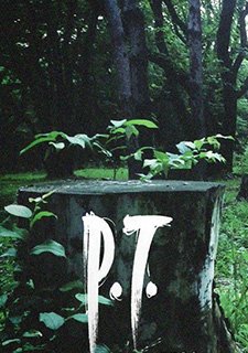 P.T.