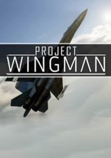 Project Wingman