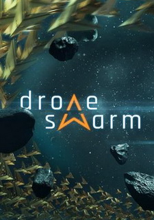 Drone Swarm
