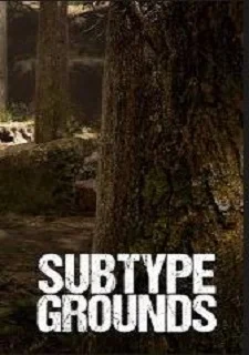 Subtype Grounds
