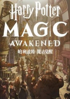 Harry Potter Magic Awakened
