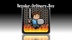 Regular Ordinary Boy